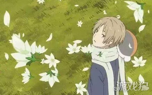 阴阳师联动备受好评 杀生丸夏目呼声最高 3