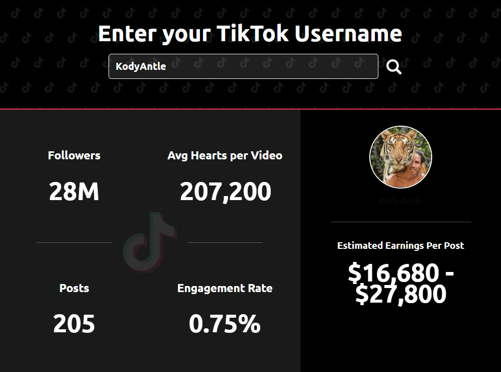 你能从 TikTok 赚多少钱