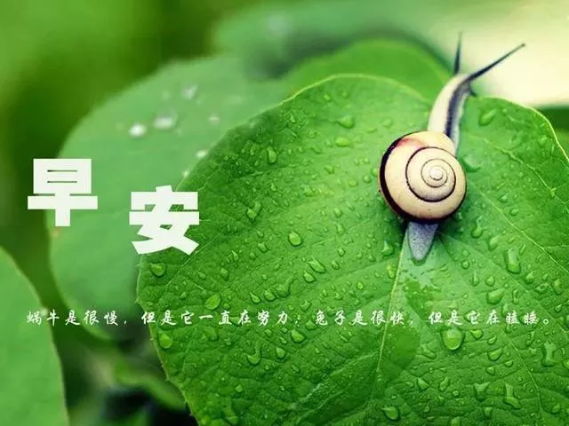 2018早安正能量语录一句线微信朋友圈早安语录励志经典