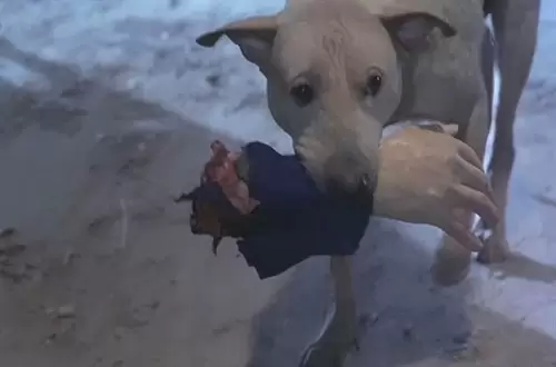 倩女幽魂女鬼色誘男人姥姥纔吃他們的原因 16