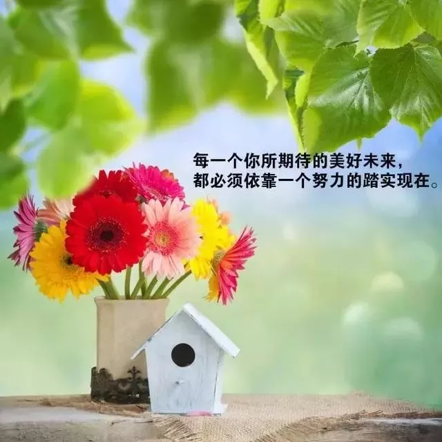 早安正能量励志简短窝心的句子 句句充满正能量 8