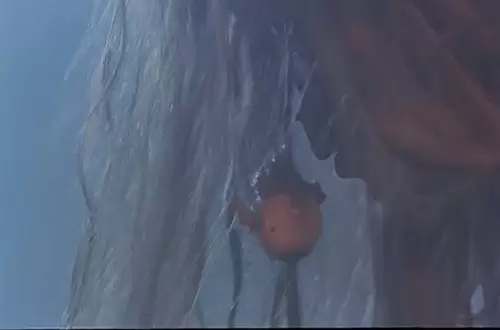 倩女幽魂女鬼色誘男人姥姥纔吃他們的原因 36