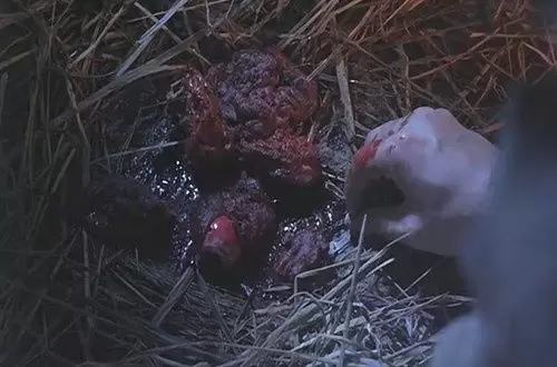 倩女幽魂女鬼色誘男人姥姥纔吃他們的原因 35