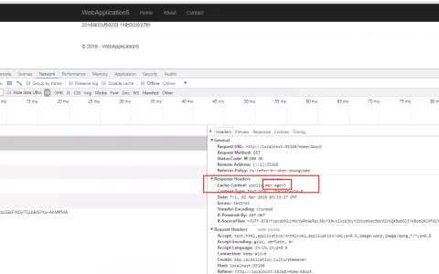 Asp.Net Core 2.1+的视图缓存(响应缓存)