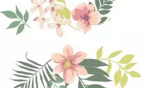 代购骗局！妈妈群热卖的“海外货”竟来自淘宝？