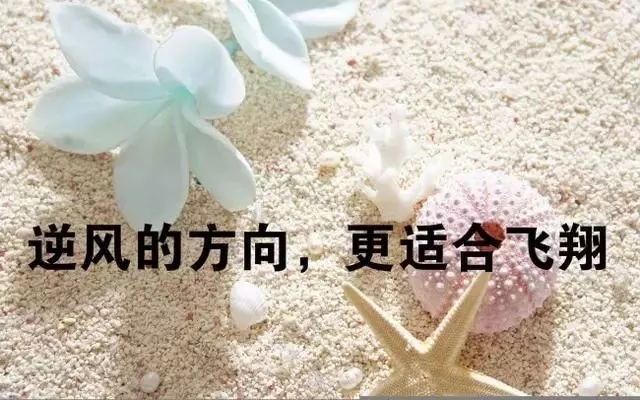 早安正能量励志简短窝心的句子 句句充满正能量 9