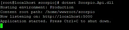 CentOS 7部署ASP.NET Core应用程序 5