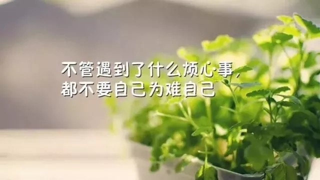 微信朋友圈早安励志精辟语句