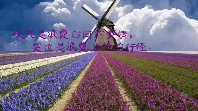 微信朋友圈早安励志精辟语句 7