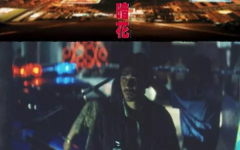 想当年｜《暗花》：人在江湖命不由己