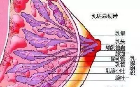 这个自带按摩效果的日本内衣胸越穿越大！送内裤+连裤袜卖疯了