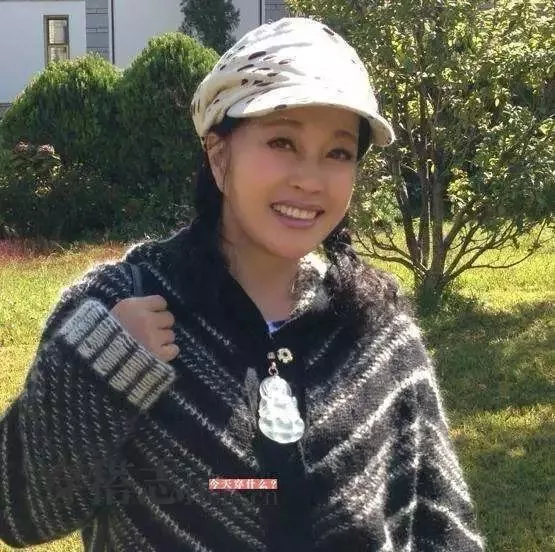 刘晓庆走红毯穿丝袜被嘲笑：总拿“老”讽刺女人这一招不好使了 13