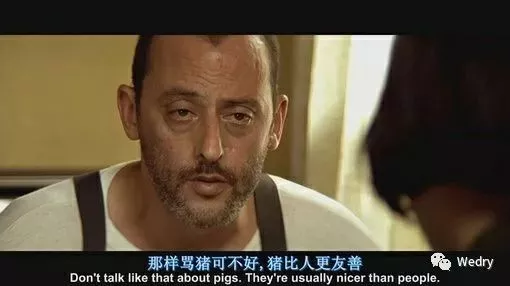 红利拆分，变成人人可做的风口，一天五位数不再是梦，结尾送福利！ 14