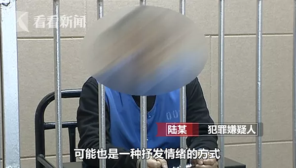 视频｜小伙偷400多条女性丝袜内裤解压 曾想看心理医生