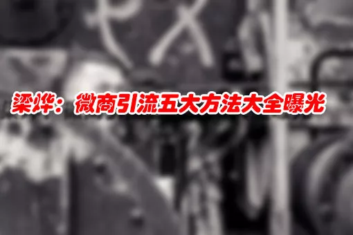 梁烨:微商引流五大方法大全曝光 1 梁烨:微商引流五大方法大全曝光 1
