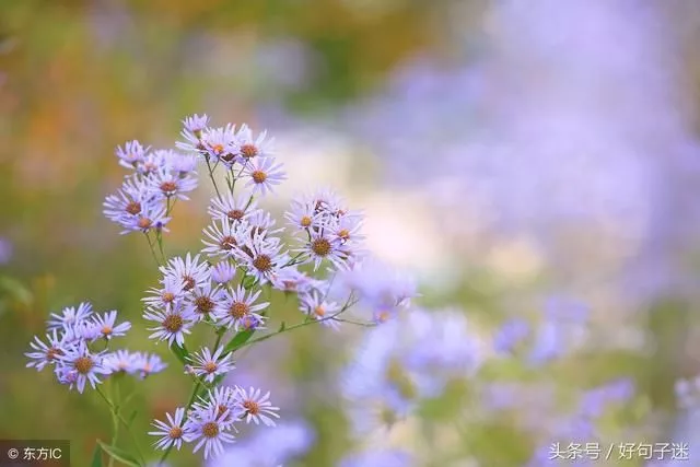 适合做微信个性签名的励志句子句句在理走心