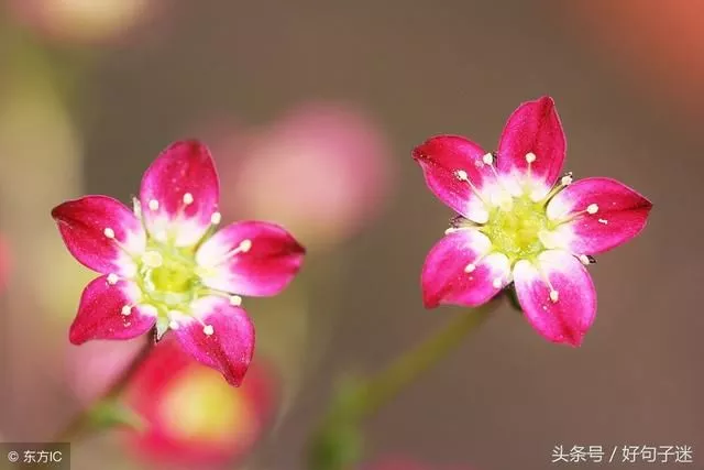 适合做微信个性签名的励志句子句句在理走心