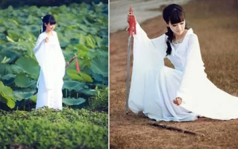 龙在天涯”在皖开幕 展示美国华人书画家成果