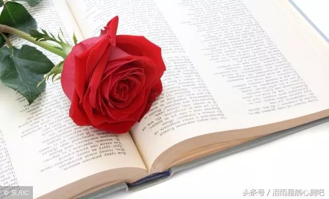 励志一句线句诗句