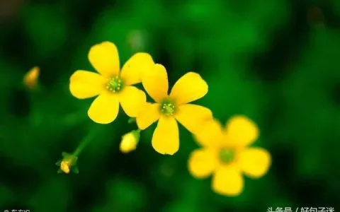 适合做微信个性签名的励志句子句句在理走心