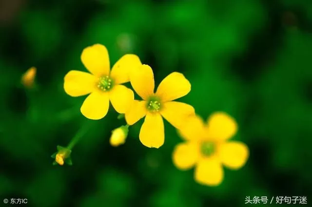 适合做微信个性签名的励志句子句句在理走心