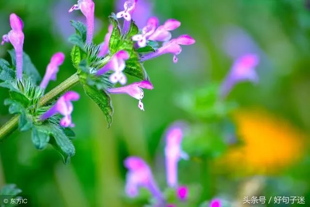 适合做微信个性签名的励志句子句句在理走心