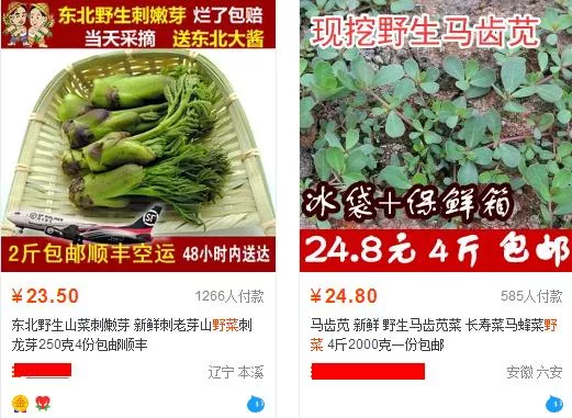 3個賺錢項目 讓你年入10W 附軟件 10