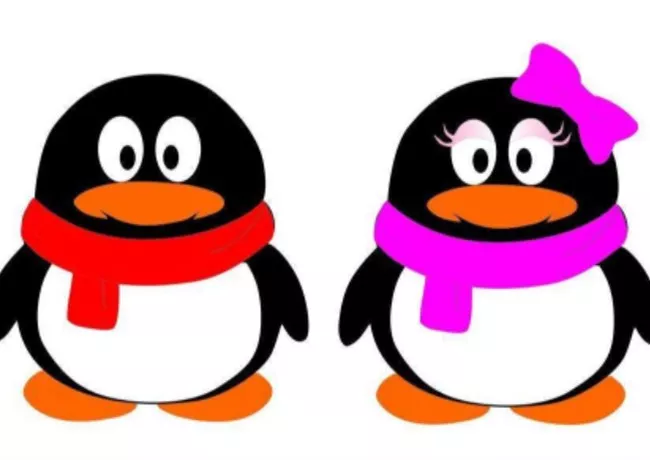 这1个腹肌男丁字裤奇葩底裤跑步性感女上街 2