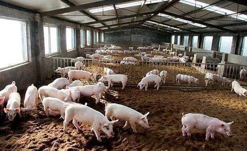 创业好项目没有本钱做什么项目？ 靠谱的白手起家创业好点子介绍给你 3