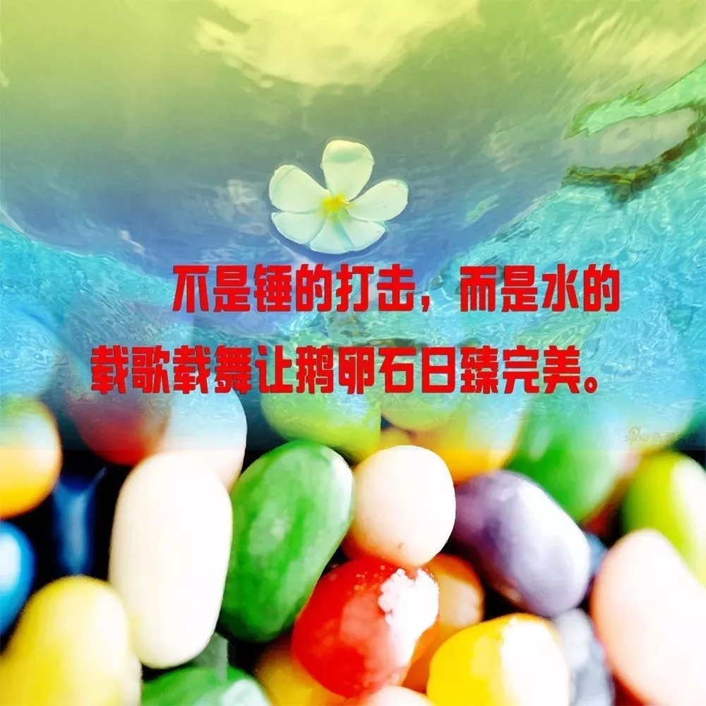 早安心语励志 早安图片正能量带字 7