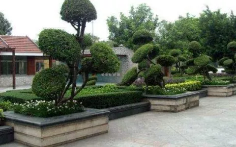 创业好项目没有本钱做什么项目？ 靠谱的白手起家创业好点子介绍给你