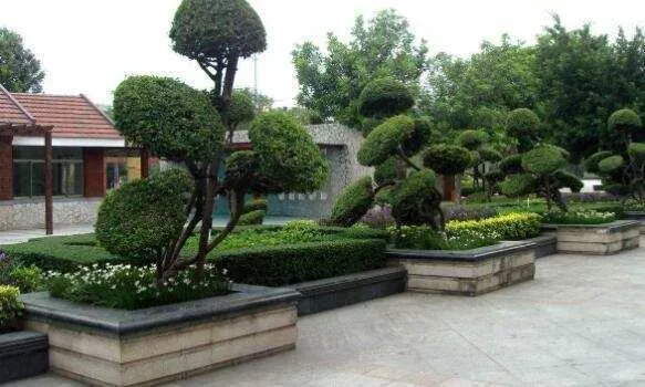 创业好项目没有本钱做什么项目？ 靠谱的白手起家创业好点子介绍给你 1