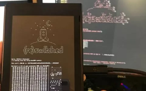 switch漏洞被公开可以加载linux运行模拟器