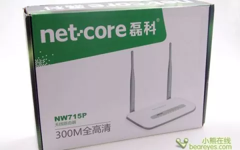 netcore磊科NR236W 开启VPN新纪元