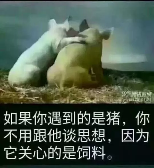 大J神脱口秀：无耻啊！20岁家庭教师竟与8岁女孩玩真人版恋爱养成游戏 15