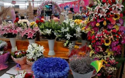 年轻人宝妈小本创业项目推荐