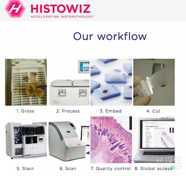 传统病理学发展太慢HistoWiz 想在云上搭建全球最大的癌症数据库 3