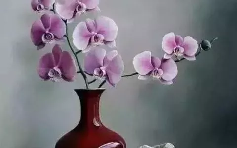 致自己励志心灵鸡汤经典语录句句精辟！