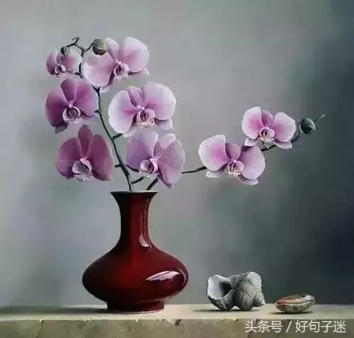 致自己励志心灵鸡汤经典语录句句精辟！