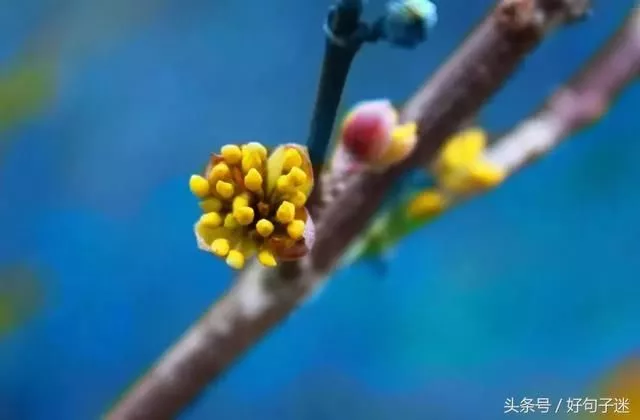 致自己励志心灵鸡汤经典语录句句精辟！ 10