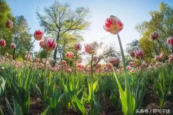 致自己励志心灵鸡汤经典语录句句精辟！ 9