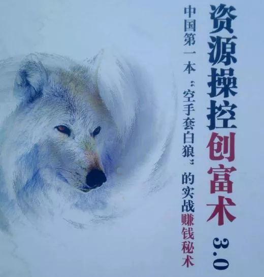引流洗腦賺錢，一部電子書就能搞定 2