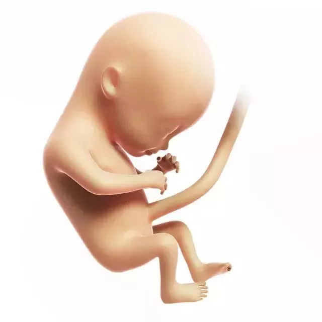孕妈妈涨知识：孕期B超检查单该怎么看？ 7