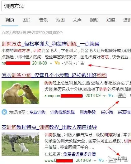 前瞻被動引流法 10000倍增益的賺錢術 7