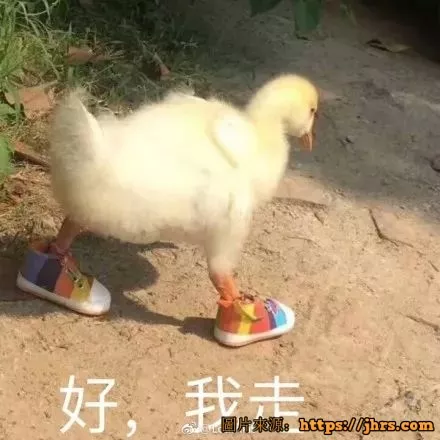 小声比比：我承认，我们是有组织攻击马蜂窝的 6