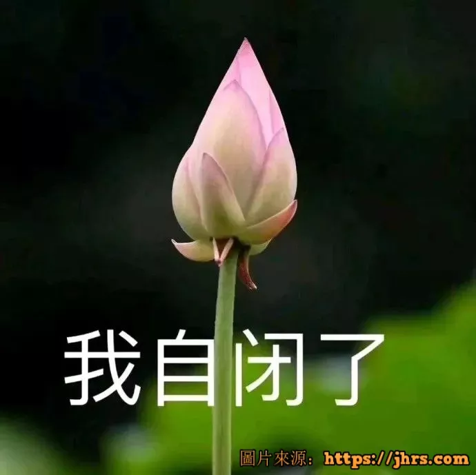 小声比比：我承认，我们是有组织攻击马蜂窝的 40