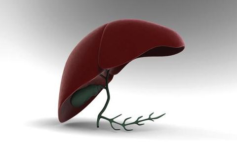 国内有望引进美国公司研发乙肝患者治愈药