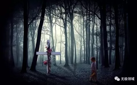 為什麼反對金融服務費的人都是傻X