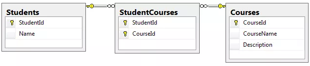 Entity Framework Core使用Fluent API 配置数据库表多对多关系 1