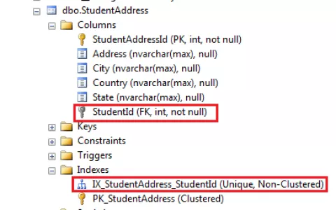 Entity Framework Core配置对象之间一对一关系